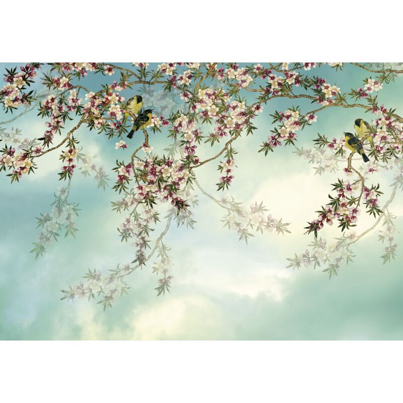 Komar Fototapete Sakura 368 X 254cm Papiertapete Wandbild Tapete Blüten