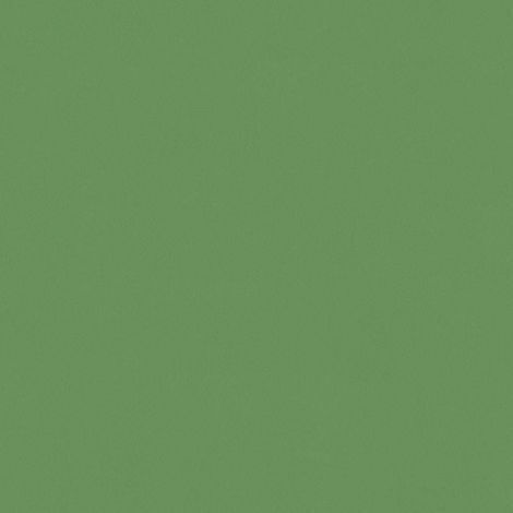 Papier peint 307291 BRICOFLOR Longlife Colours