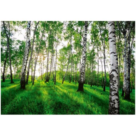 Papier peint 3D forêt de bouleaux décoration murale pour salon salle de bain – 200 x 140 cm Wallarena