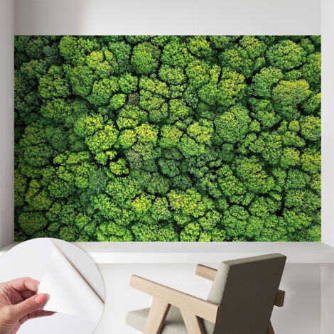 Papier peint adhésif autocollant pour salon chambre à coucher peint imprimé Installation facile Panorama forestier 104x70 cm