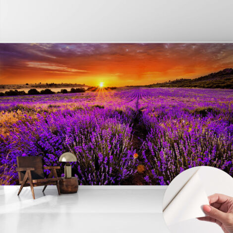 Papier peint adhésif autocollant pour salon chambre à coucher peint imprimé pour mur Coucher de soleil lavande 416x254 cm