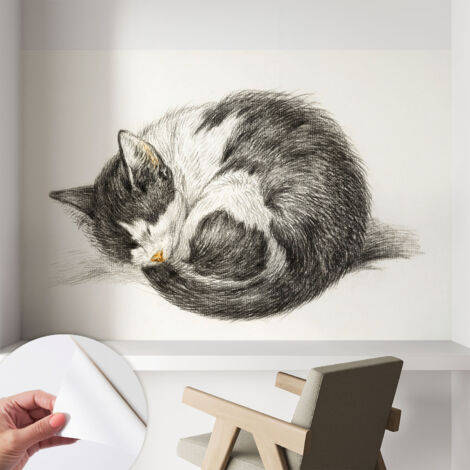Papier peint adhésif autocollant pour salon chambre à coucher tendance et originale Charmant chaton 104x70 cm