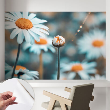 Papier peint adhésif autocollant pour salon chambre à coucher tendance et originale Douceur de camomille 104x70 cm