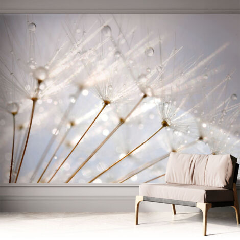 Papier peint adhésif autocollant pour salon chambre à coucher tendance et originale Pissenlit couvert de rosée 312x219 cm