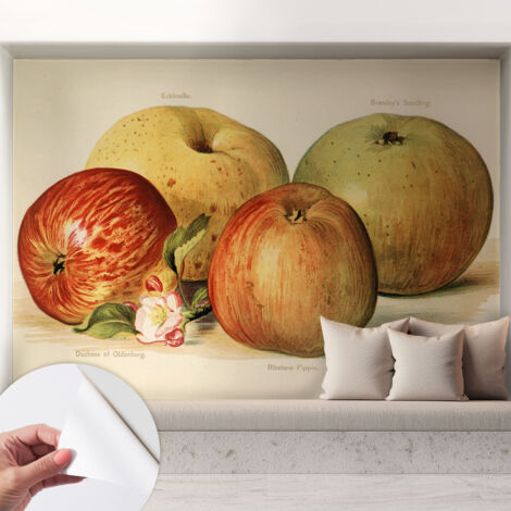 Papier peint adhésif autocollant pour salon chambre à coucher tendance et originale Pommes et fleurs 208x146 cm