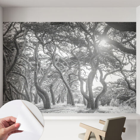 Papier peint adhésif avec colle pour décoration moderne de salon chambre à coucher cuisine et bureau Facile Forêt atmosphérique 152x104 cm