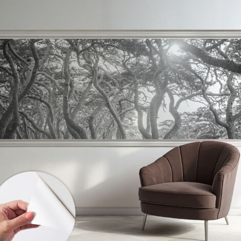 Papier peint adhésif avec colle pour décoration moderne de salon chambre à coucher cuisine et bureau Facile Forêt atmosphérique 250x104 cm