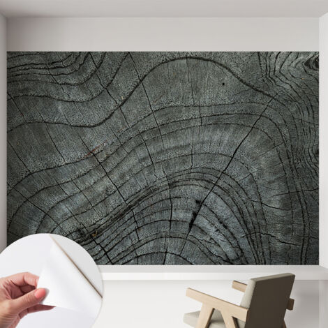 Papier peint adhésif avec colle pour décoration moderne de salon chambre à coucher cuisine et bureau Facile Motif de cernes 152x104 cm
