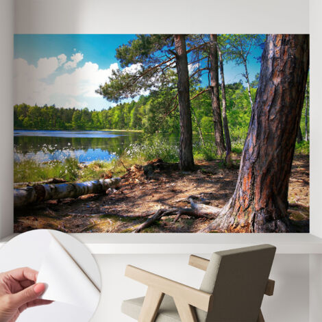 Papier peint adhésif avec colle pour décoration moderne de salon chambre à coucher cuisine et bureau Facile Paysage forestier 104x70 cm