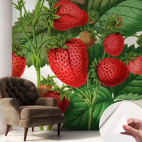 Papier peint adhésif décoratif avec colle pour salon chambre et bureau Installation rapide Fruits d'été 250x250 cm