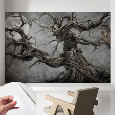 Papier peint adhésif décoratif avec colle pour salon chambre et bureau Installation rapide Hibou mystérieux 104x70 cm