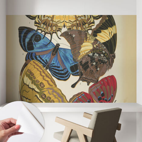 Papier peint adhésif décoratif avec colle pour salon chambre et bureau Installation rapide Inspiration papillons 104x70 cm
