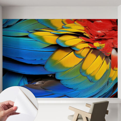 Papier peint adhésif décoratif avec colle pour salon chambre et bureau Installation rapide Plumes arc-en-ciel 152x104 cm