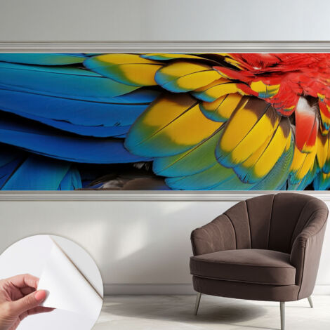 Papier peint adhésif décoratif avec colle pour salon chambre et bureau Installation rapide Plumes arc-en-ciel 250x104 cm