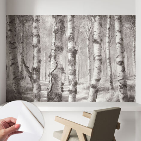 Papier peint adhésif décoratif pour chambre et salon Design moderne à poser facilement Forêt de bouleaux 104x70 cm
