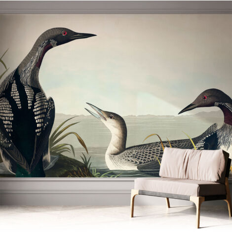 Papier peint adhésif décoratif pour chambre et salon Design moderne à poser facilement Oiseaux au bord de l'eau 312x219 cm
