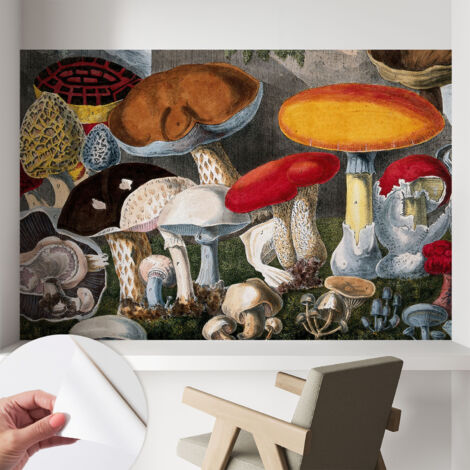 Papier peint adhésif décoratif pour salon chambre et cuisine Facile à poser avec colle Champignons botaniques 104x70 cm