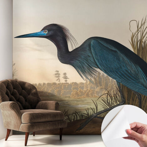 Papier peint adhésif décoratif pour salon chambre et cuisine Facile à poser avec colle Oiseaux aquatiques 250x250 cm