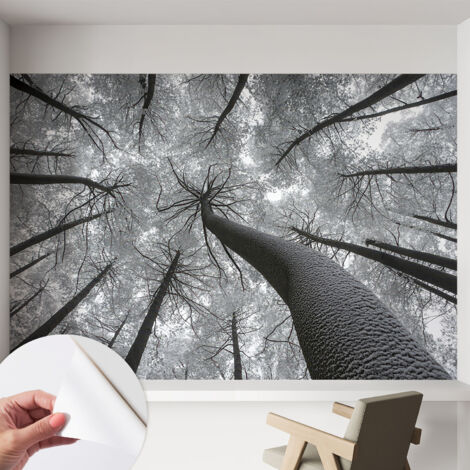 Papier peint adhésif décoratif pour salon chambre et cuisine Facile à poser avec colle Paysage hivernal 152x104 cm