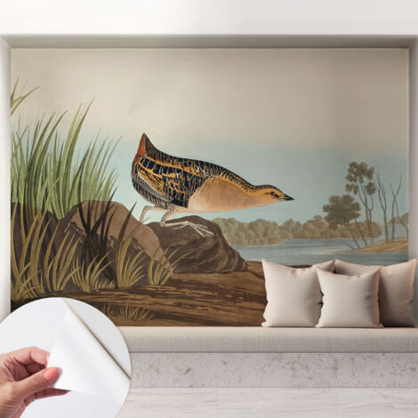 Papier peint adhésif décoratif pour salon chambre et cuisine Facile à poser avec colle Scène naturelle 208x146 cm