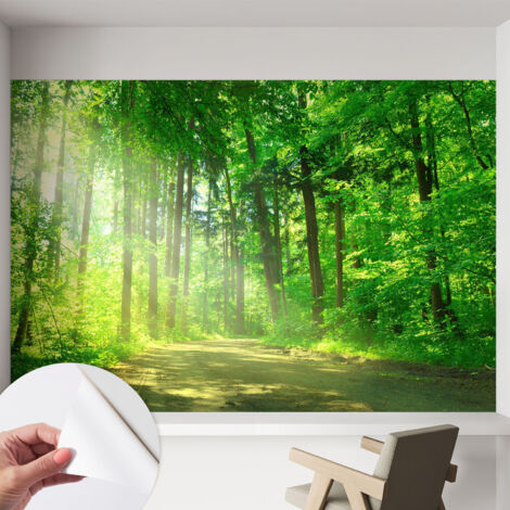 Papier peint adhésif décoratif pour salon chambre et cuisine Facile à poser avec colle Sentier forestier 152x104 cm