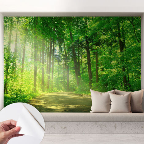 Papier peint adhésif décoratif pour salon chambre et cuisine Facile à poser avec colle Sentier forestier 208x146 cm