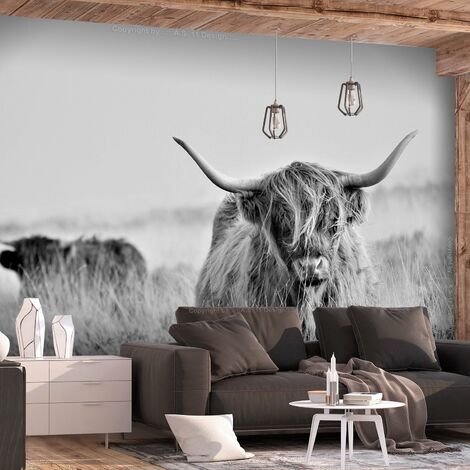 Papier peint adhésif Highland Cattle - 147 x 105 cm