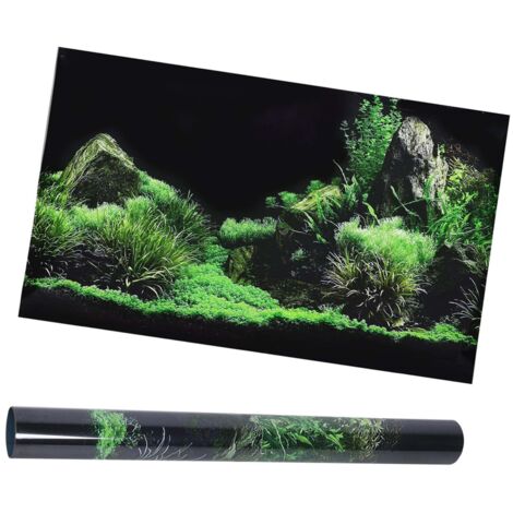 Papier Peint Aquarium Fond Marin en PVC pour Décoration de Vivarium 40cm - AUTRES