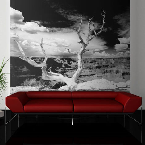 Papier Peint "Arbre au Grand Canyon, Arizona" 154 x 200 cm