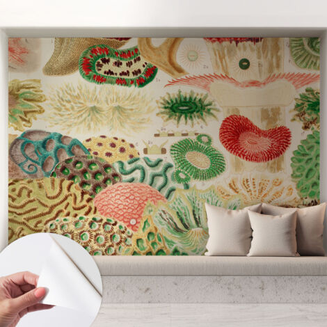 Papier peint autocollant adhésif avec imprimé installation simple qualité excellente sans désordre Formes organiques 208x146 cm