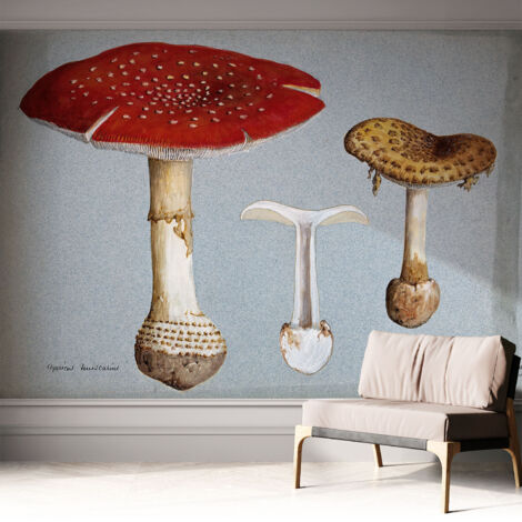 Papier peint autocollant adhésif avec imprimé motifs uniques apparence moderne Gravures de champignons 312x219 cm