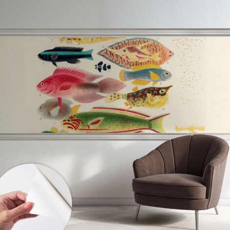 Papier peint autocollant adhésif avec motifs pour salon et chambre accessoire stylé pour votre intérieur Poissons colorés 250x104 cm