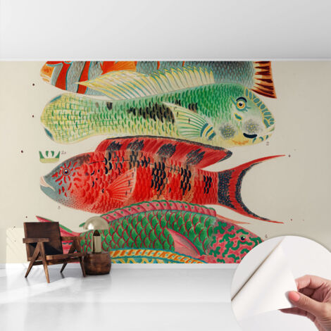 Papier peint autocollant adhésif décoratif avec motifs pour salon et chambre a motif Poissons exotiques 416x254 cm