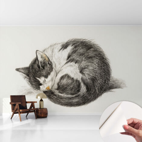 Papier peint autocollant adhésif installation rapide du papier peint durable et résistante Charmant chaton 416x254 cm