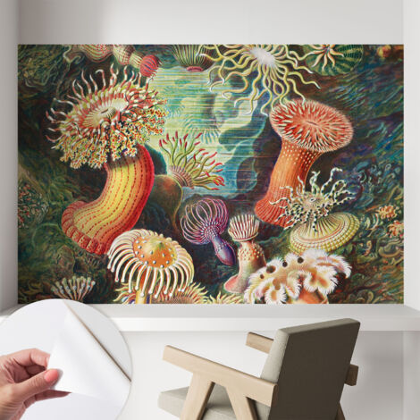 Papier peint autocollant avec imprimé décoratif pour salon et chambre à coucher Installation facile Anémones fantaisistes 104x70 cm