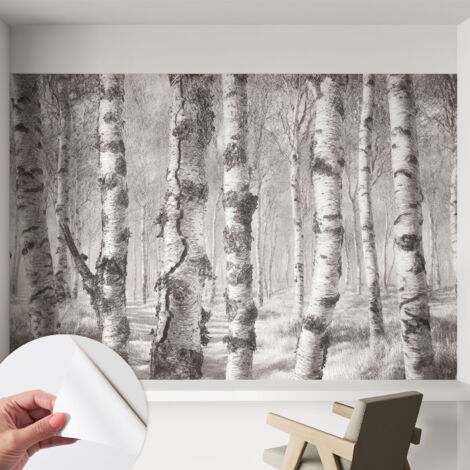 Papier peint autocollant avec imprimé décoratif pour salon et chambre à coucher Installation facile Forêt de bouleaux 152x104 cm
