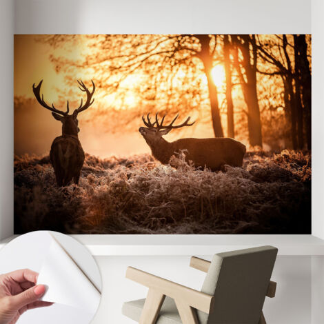 Papier peint autocollant avec imprimé pour cuisine facile à appliquer pour mur a motif Cerfs au petit matin 104x70 cm