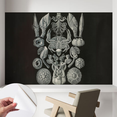 Papier peint autocollant avec imprimé pour cuisine facile à appliquer pour mur a motif Formes sous-marines 104x70 cm
