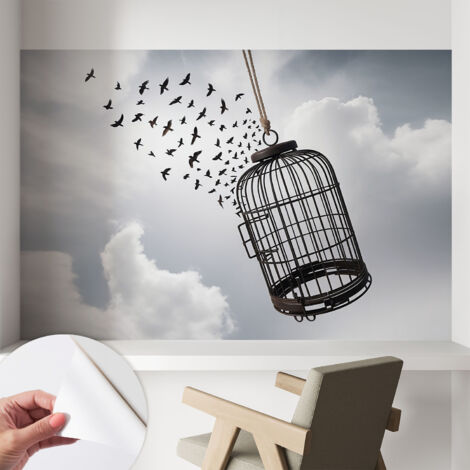 Papier peint autocollant avec imprimé pour cuisine facile à appliquer pour mur a motif Oiseaux en vol 104x70 cm