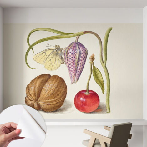 Papier peint autocollant avec imprimé pour cuisine facile à appliquer pour mur a motif Papillon et plantes 152x104 cm