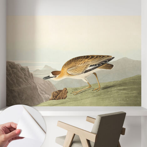 Papier peint autocollant avec imprimé pour décoration intérieure pour rénovation a motif Oiseau des montagnes 104x70 cm
