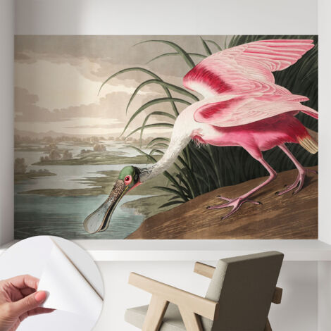 Papier peint autocollant avec imprimé pour décoration intérieure pour rénovation a motif Oiseau exotique 104x70 cm