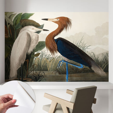 Papier peint autocollant avec imprimé pour décoration intérieure pour rénovation a motif Oiseaux dans la végétation 104x70 cm