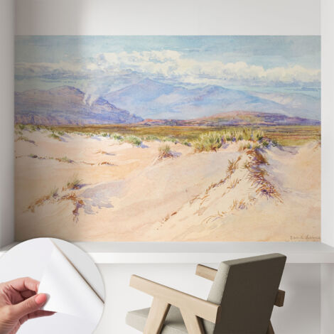 Papier peint autocollant avec imprimé pour décoration intérieure pour rénovation a motif Paysage désertique 104x70 cm