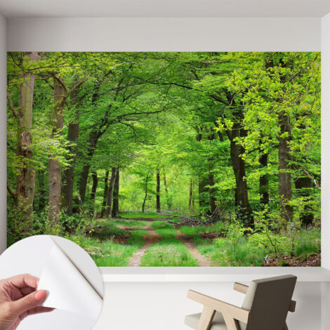 Papier peint autocollant avec imprimé pour intérieur moderne application facile a motif Sentier forestier 152x104 cm
