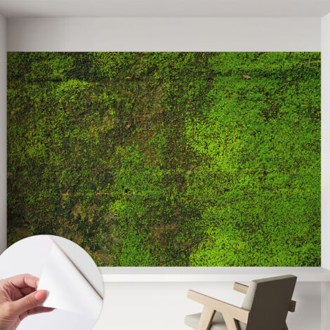 Papier peint autocollant décoratif à motifs pour salon chambre et bureau Tapete adhésif pour décoration Tapis vert 152x104 cm