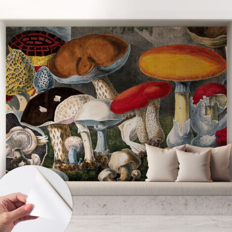 Papier peint autocollant Mural avec colle pour salon et chambre Décoration murale rapide Champignons botaniques 208x146 cm