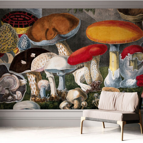 Papier peint autocollant Mural avec colle pour salon et chambre Décoration murale rapide Champignons botaniques 312x219 cm