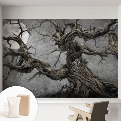 Papier peint avec colle pour décoration moderne de salon chambre à coucher cuisine et bureau Facile Hibou mystérieux 152x104 cm