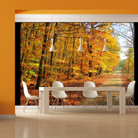 Papier Peint "Beech Forest" 193 x 250 cm